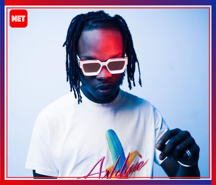 Naira Marley's concert