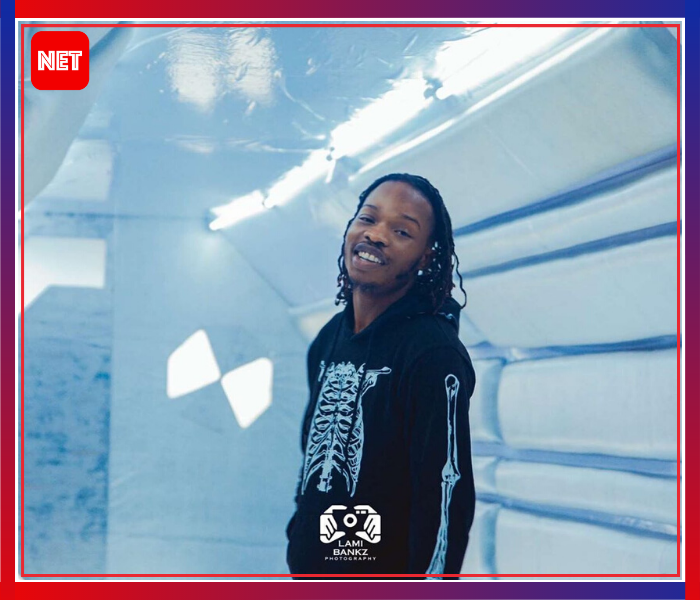 Naira Marley's concert